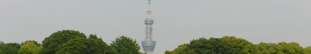 コサージュの最新情報